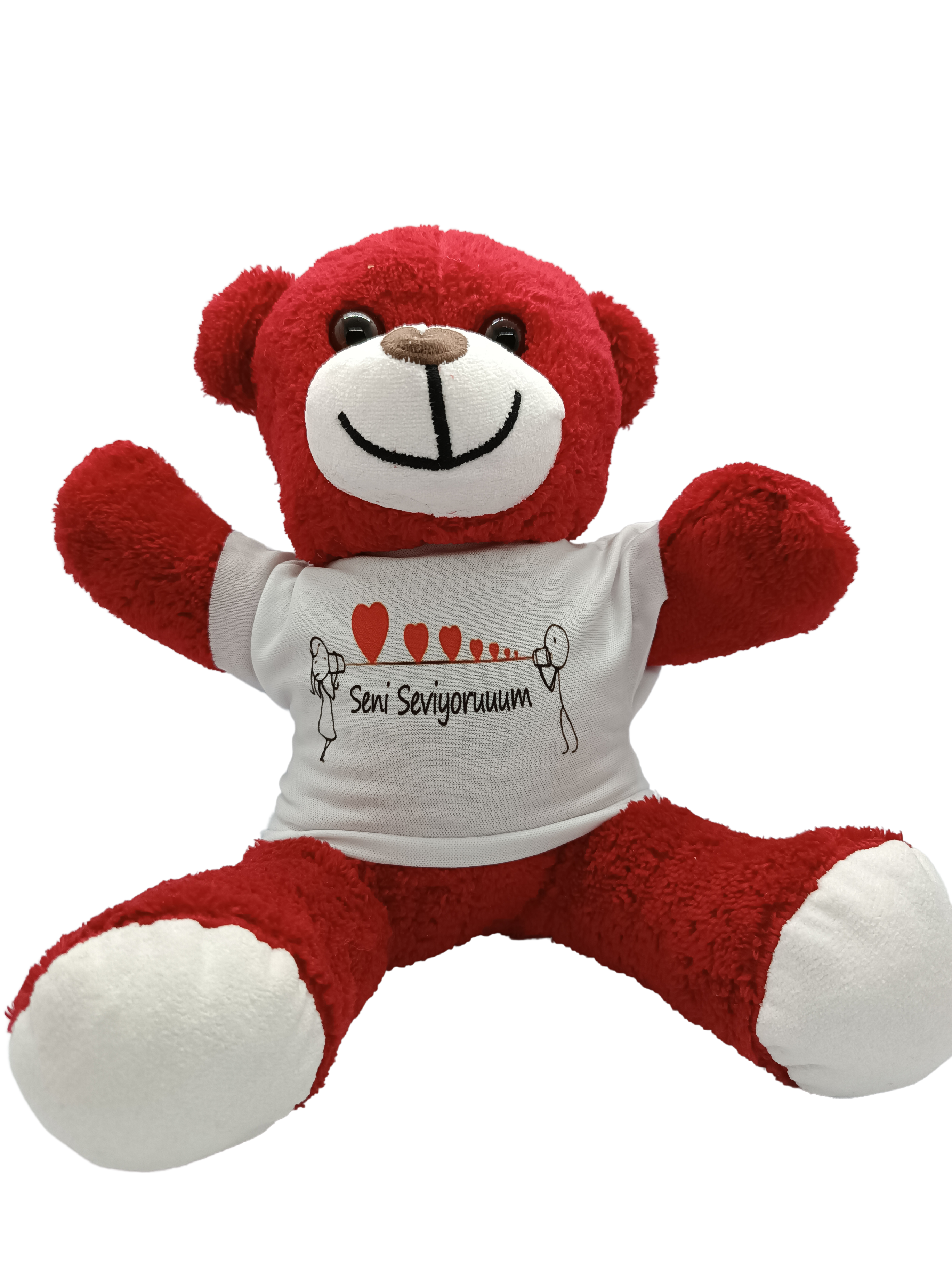 Plush%20teddy%20bear